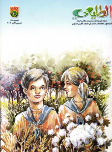 العدد 175 لعام 2005